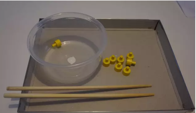 生活技能怎么说_2与生活技能_生活技能意思