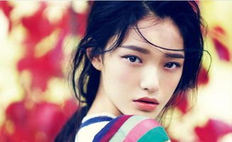 中国男子足球队著名球星（中国男子足球明星排名前十）