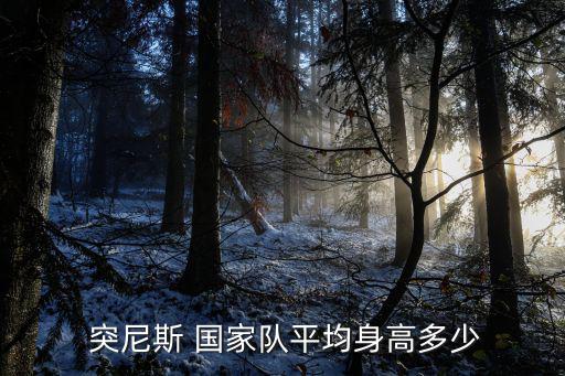 突尼斯 国家队平均身高多少