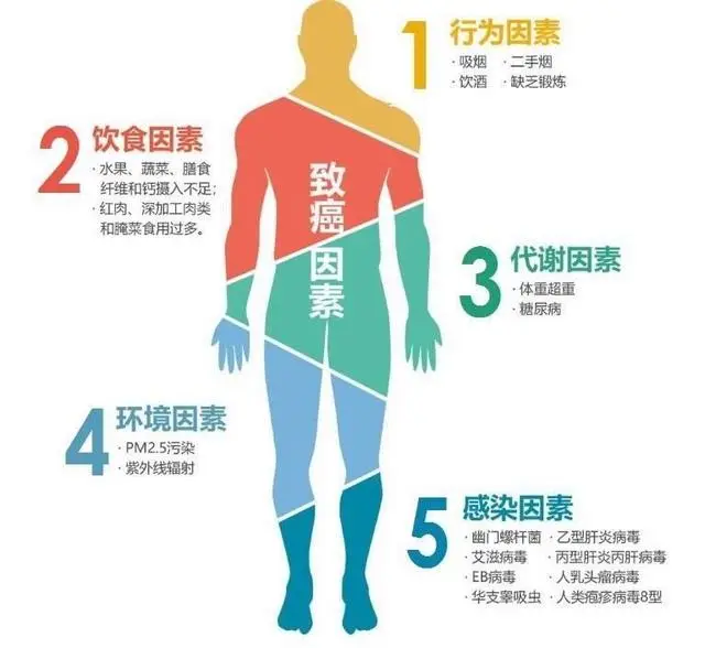 癌症患者乐观的事例_癌症患者如何乐观生活方式_癌症患者乐观生活感悟