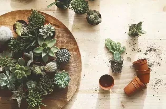 简约的北欧生活方式_简约的北欧风格_北欧极简生活方式