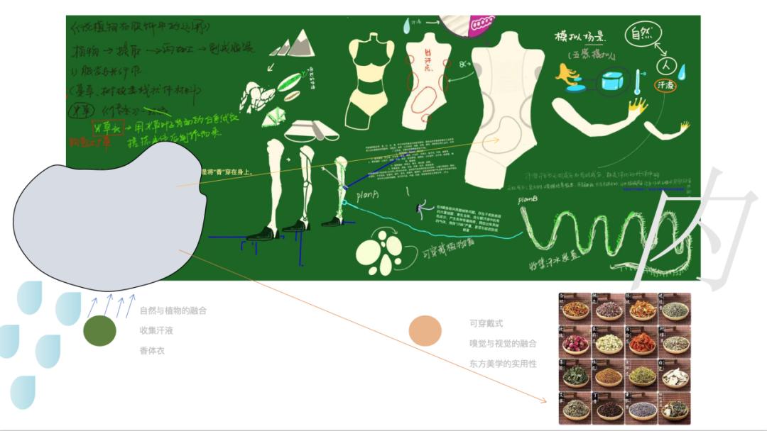 足球场最新运动规则_最新的足球规则_足球规则新规则
