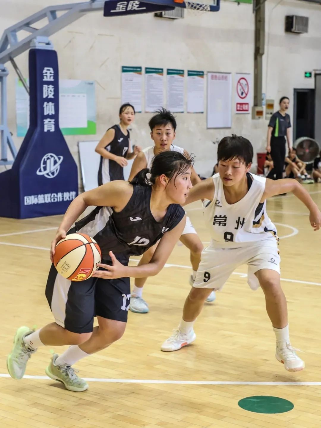 连云港少儿篮球_连云港高级中学篮球队_连云港小学比赛篮球冠军